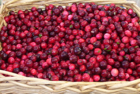 Homemade Cranberry Sauce Recipe for Canning or Freezing Image